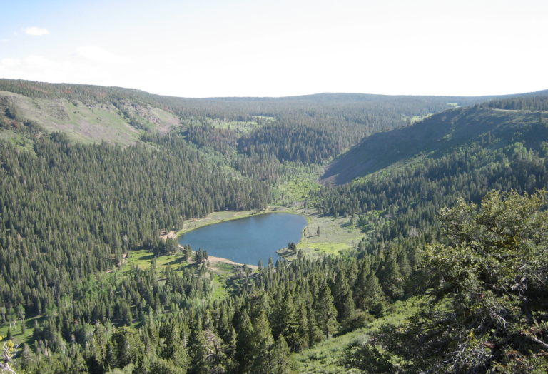 Modoc-National-Forest-2