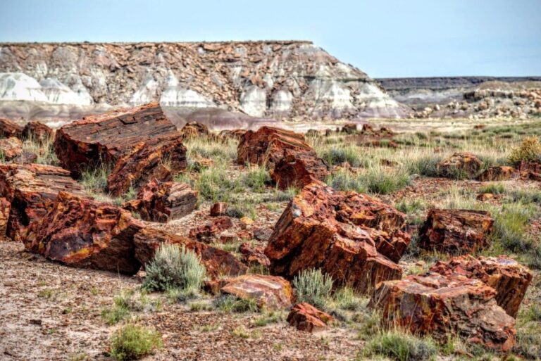 Petrified-Forest_AZ-2-1-e1682461636550