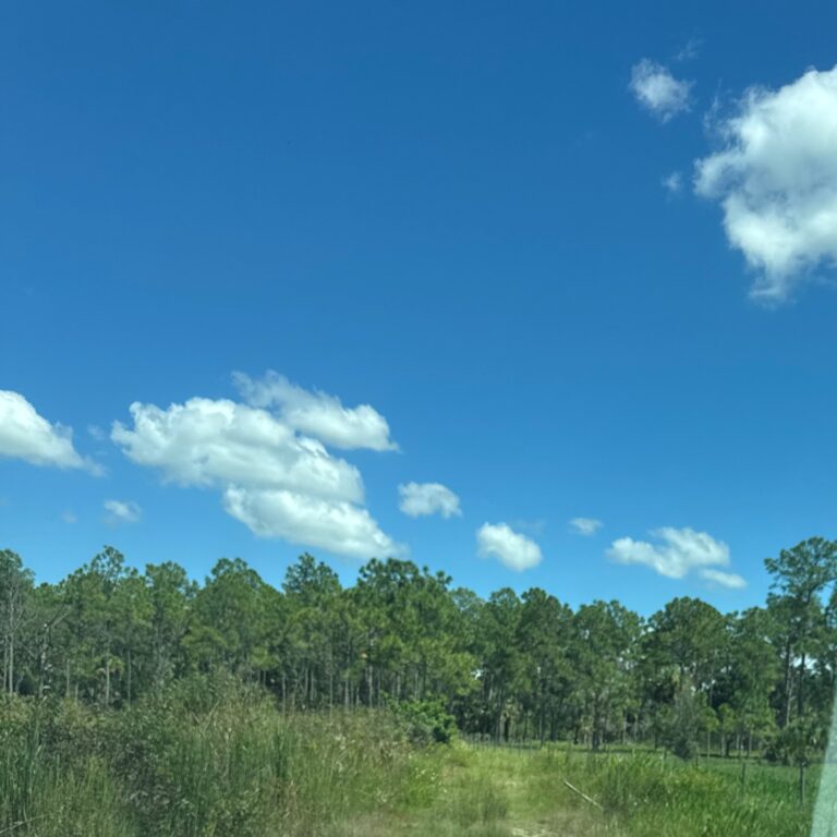 Trail picture from County Rep_Sep 23