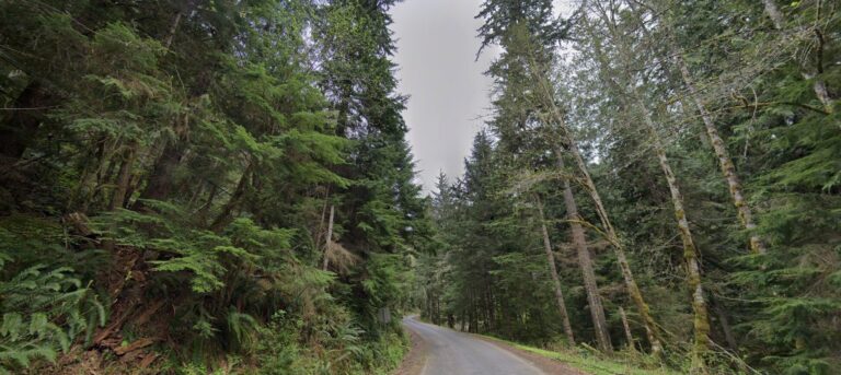 Neighborhood Road